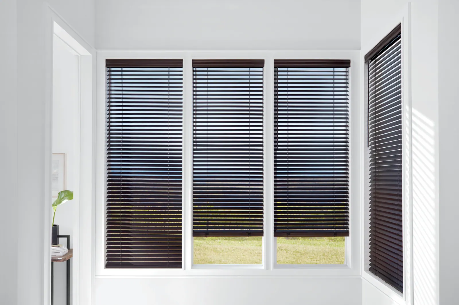 Medium-stain wood blinds in a Colorado Springs living room