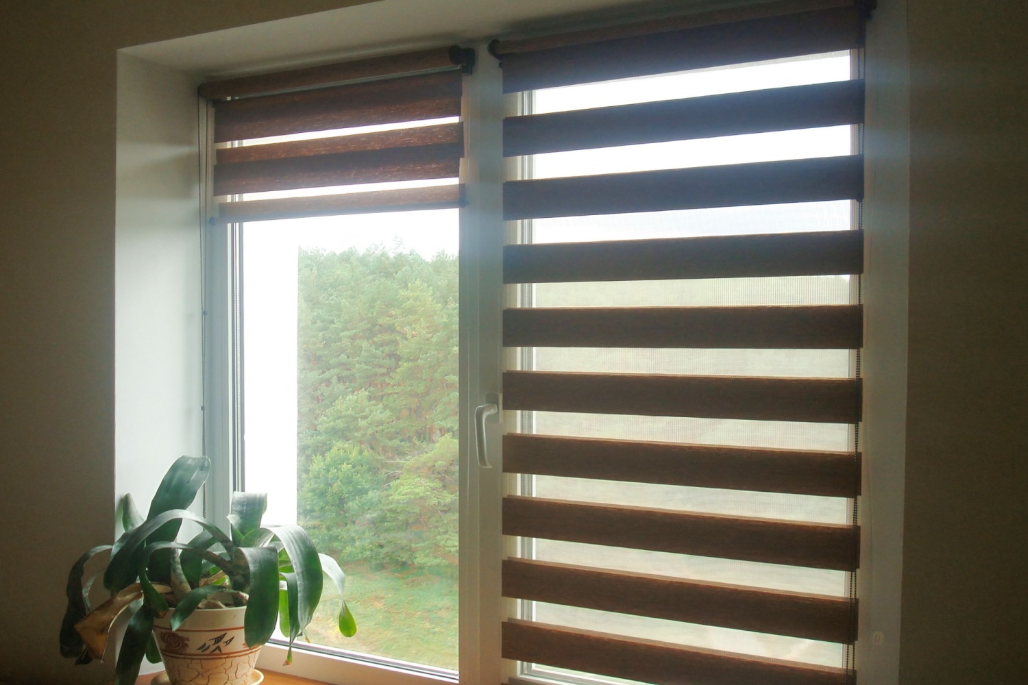 What are dual shades?