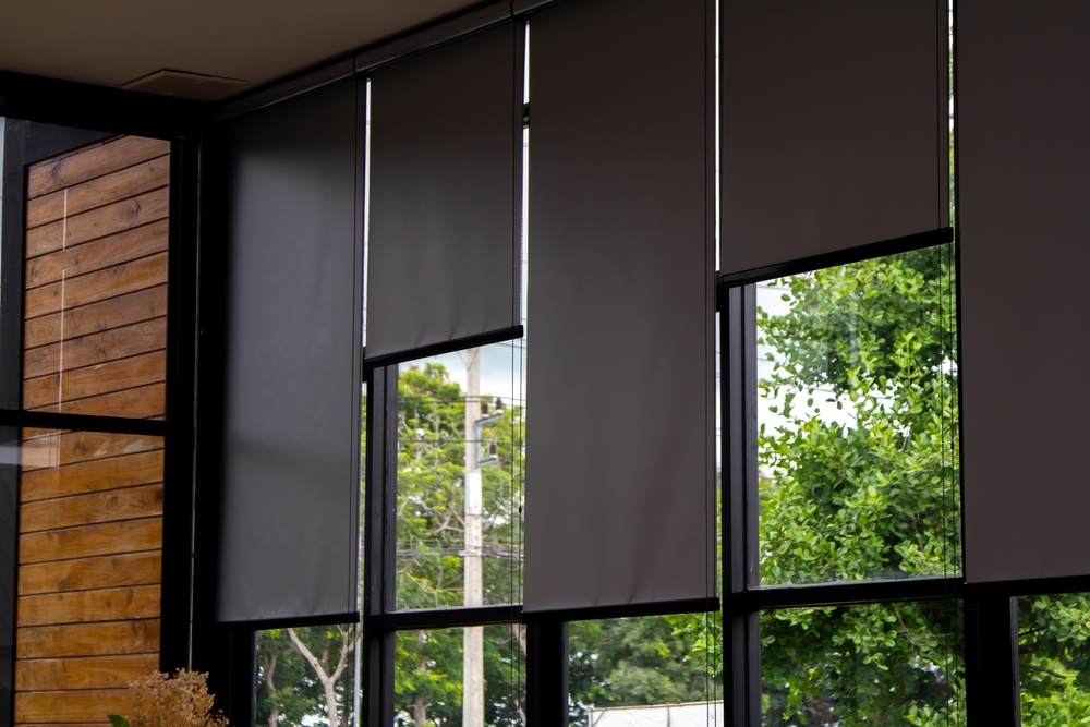 What window blinds are in fashion?